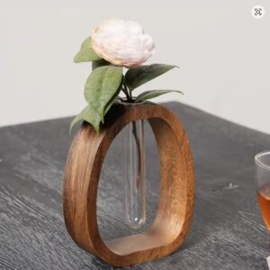 Hydroponic Plants Test Tube Vase with Wooden Stand Clear Flower Vase Table Plants Propagation Vase Home Office Desktop Decor